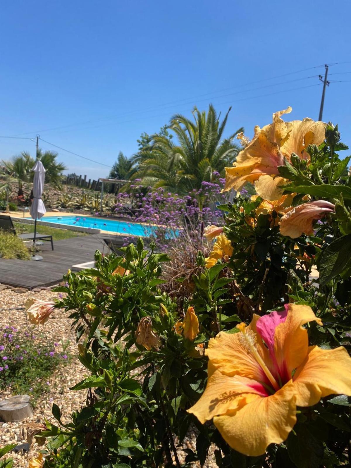 Quinta Cunte - Casa Sobreiro Villa Sao Luis Ngoại thất bức ảnh